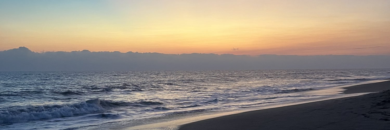 fernnandaord's profile banner image