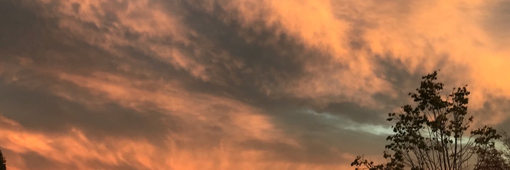 DanRafferty's profile banner image