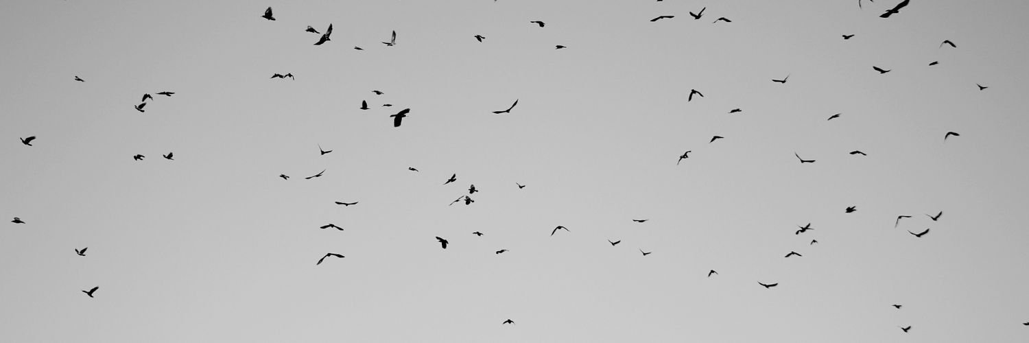 gulkarakecili's profile banner image