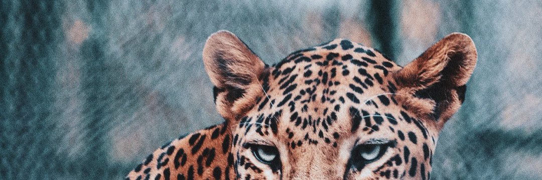 DeddyHereson's profile banner image