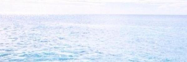 xlliiz's profile banner image