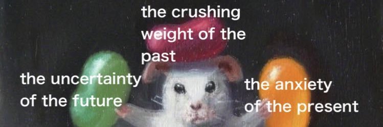 aileenosully's profile banner image