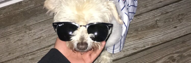 ericaselenaa's profile banner image