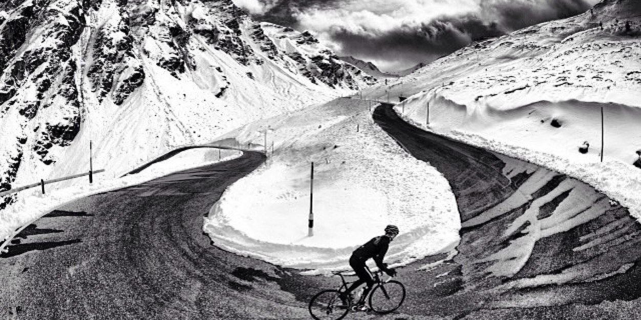 Pierre Collin banner