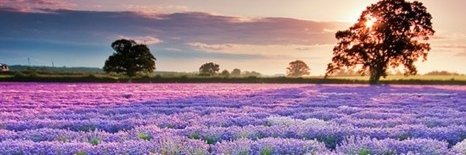 MomKindleLover's profile banner image
