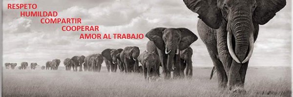 JRHERRADA Profile Banner