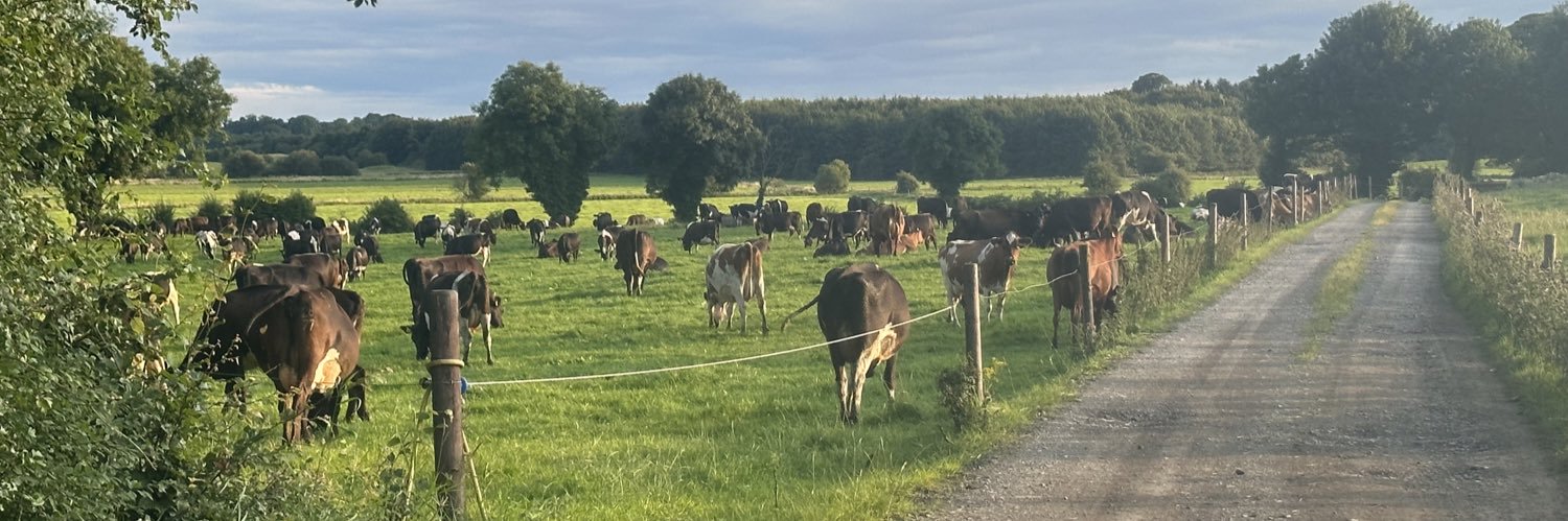 Christopher Cahill banner