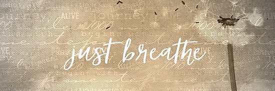 Dr.Shannon McCormack banner