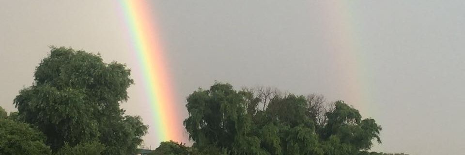 alfant67's profile banner image