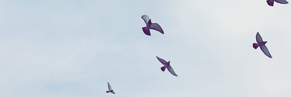Huleel's profile banner image