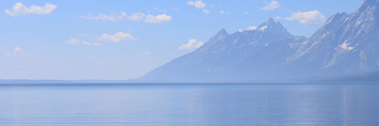 Adolescent Jalebi banner
