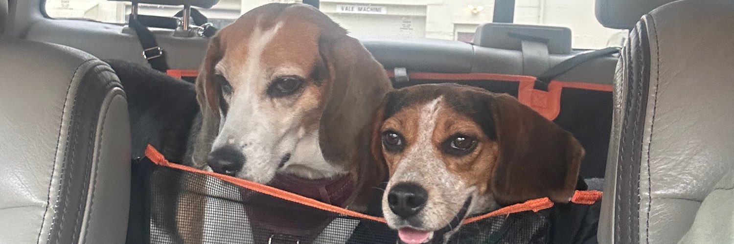 TwoBeags's profile banner image