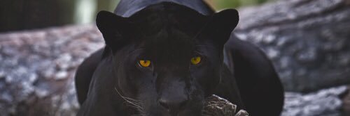 fashionninside's profile banner image