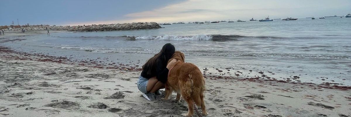 ashleymadeline_'s profile banner image