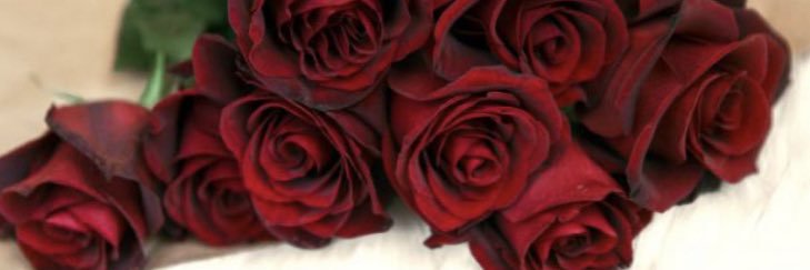 99_mnool's profile banner image