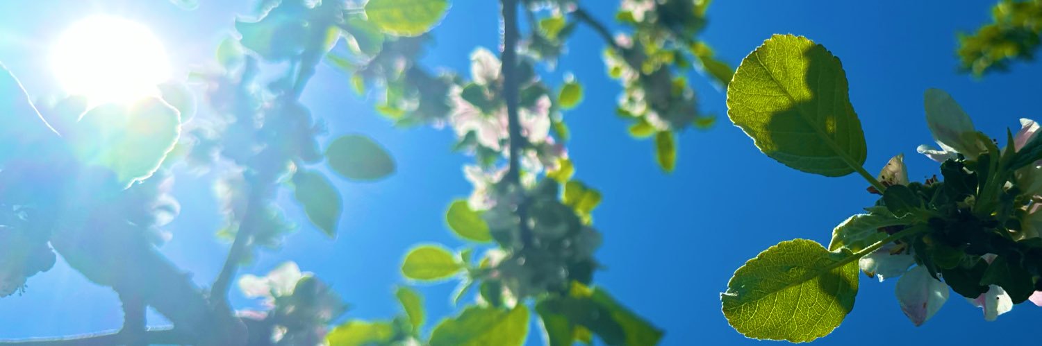 ✨ banner