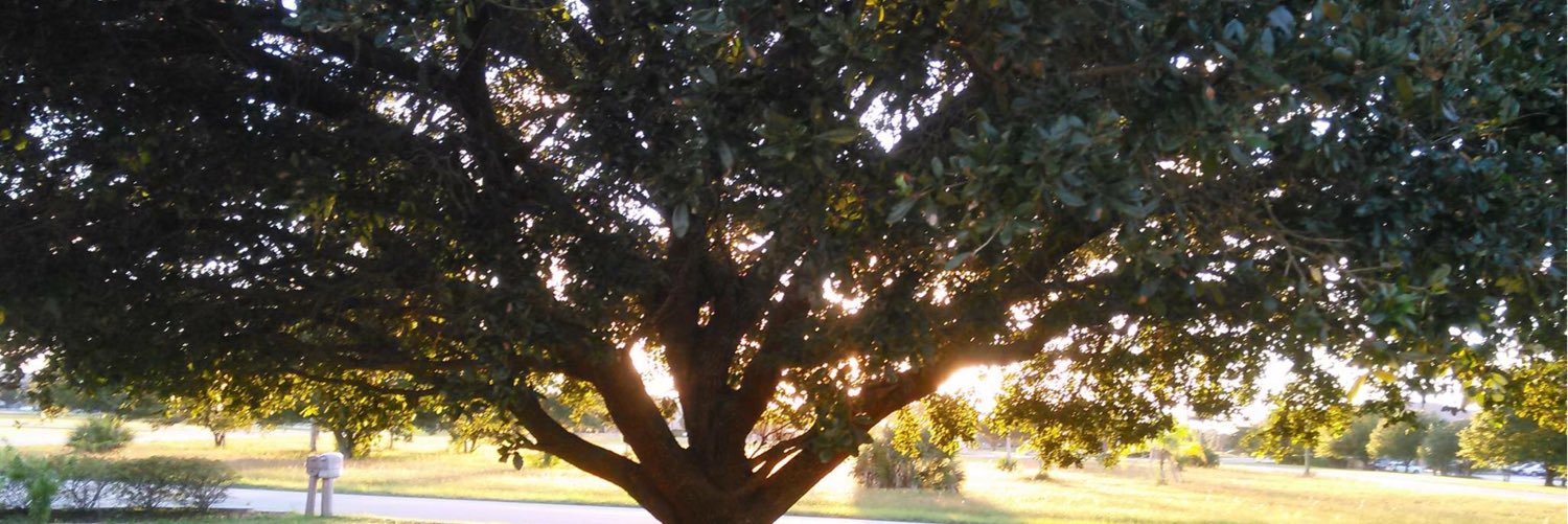 juliewboyd's profile banner image