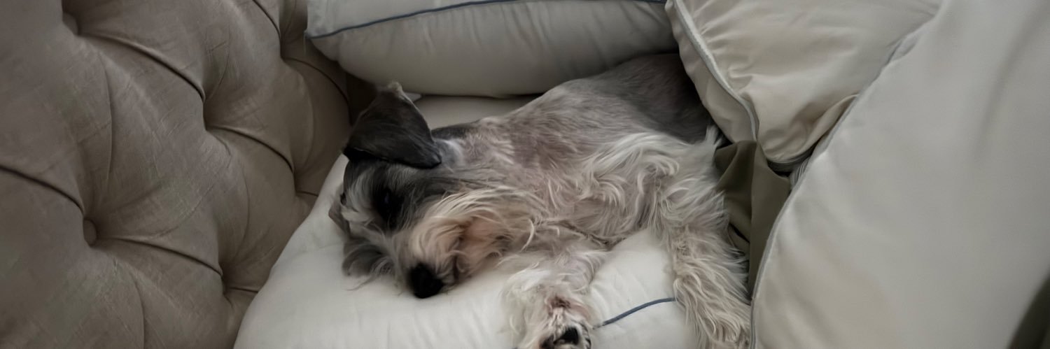 AlabamaGroyper banner