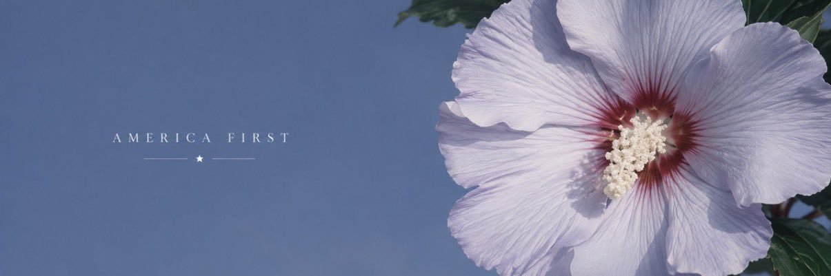 AlabamaGroyper banner