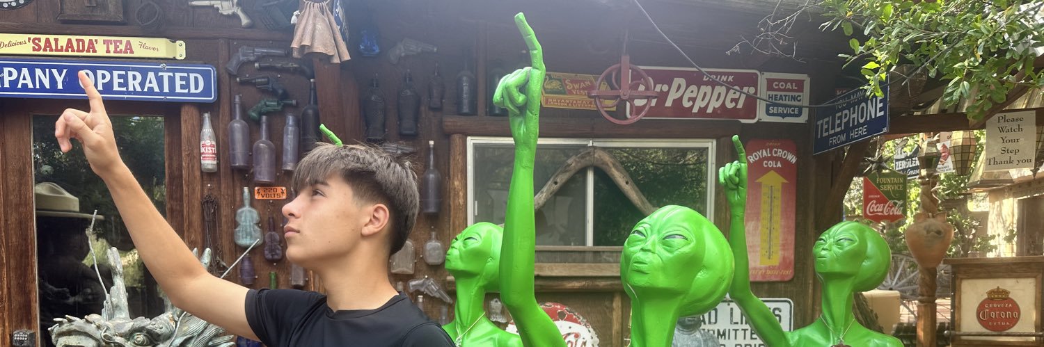 gulsevil's profile banner image