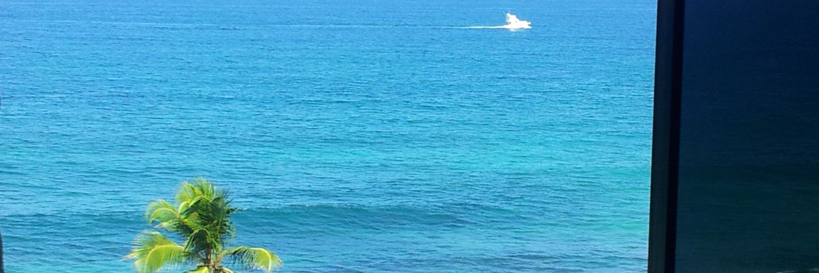 Danielnitti's profile banner image
