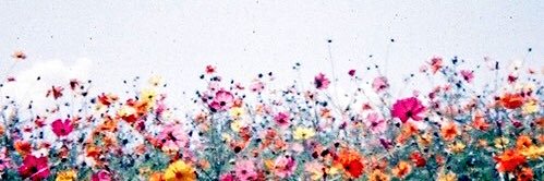 mozely16's profile banner image