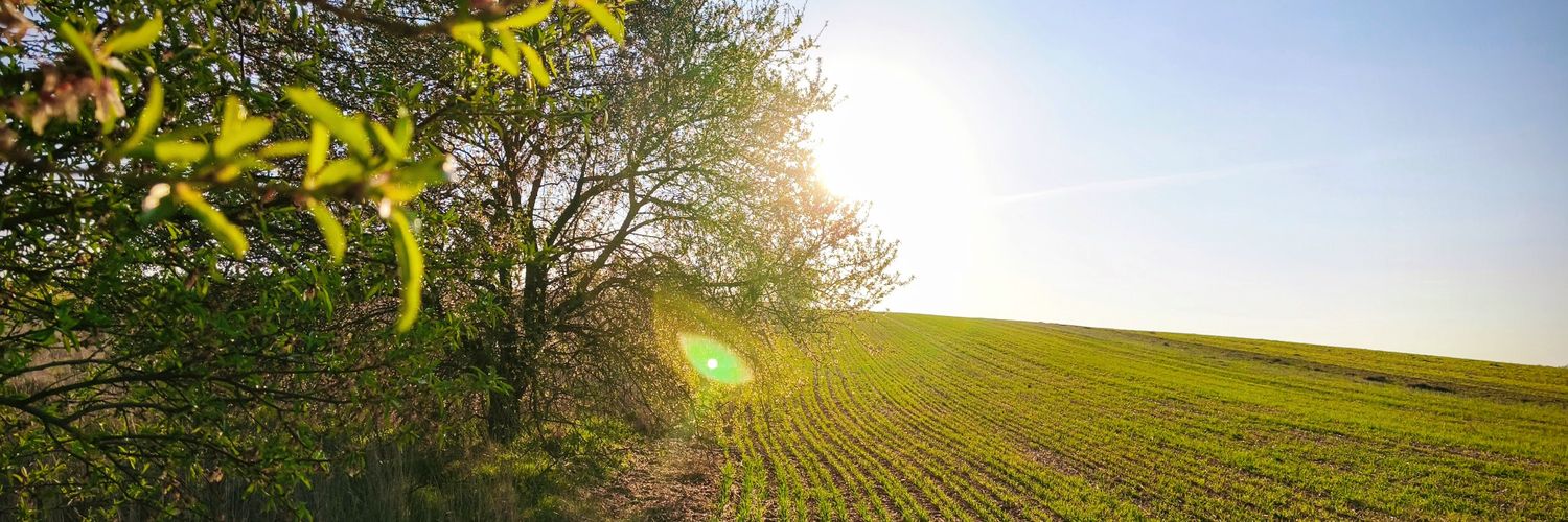 Anazul72 💜 banner