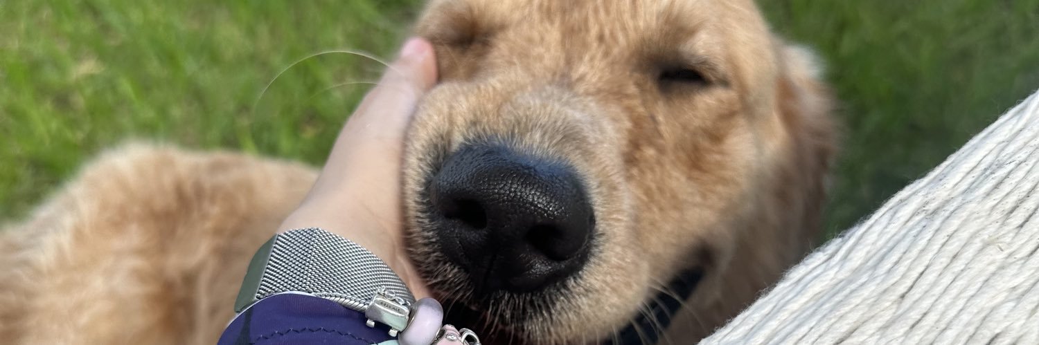 sofyfiguee's profile banner image