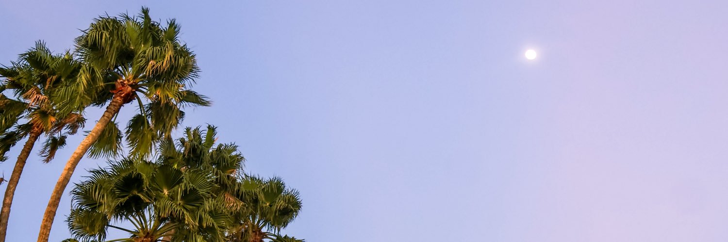 kayizzzle's profile banner image