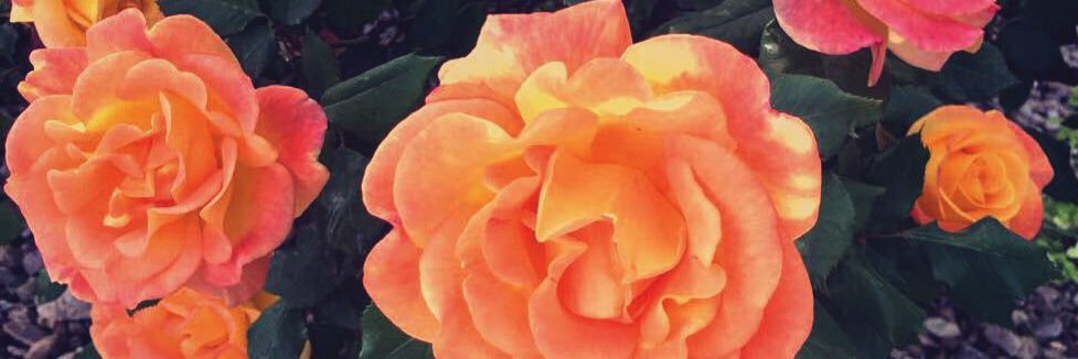 simibhakta5's profile banner image