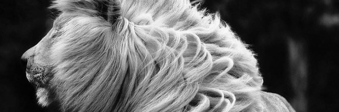 annorslimzy's profile banner image