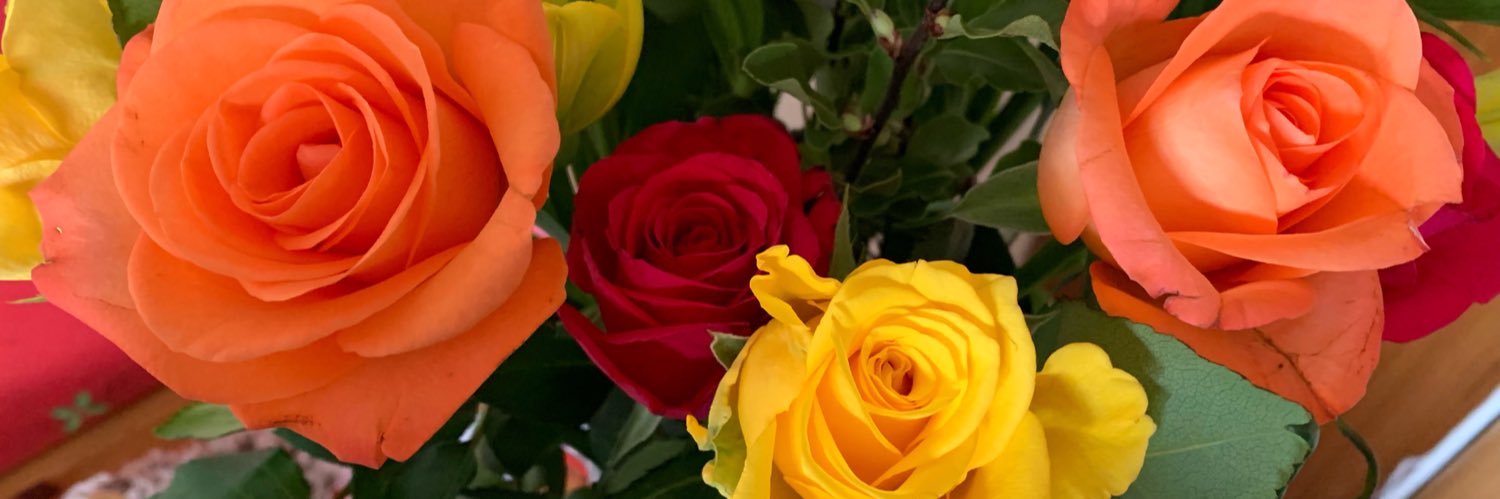 elainelainex's profile banner image