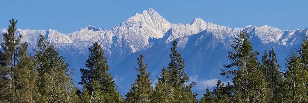 dkmc11's profile banner image