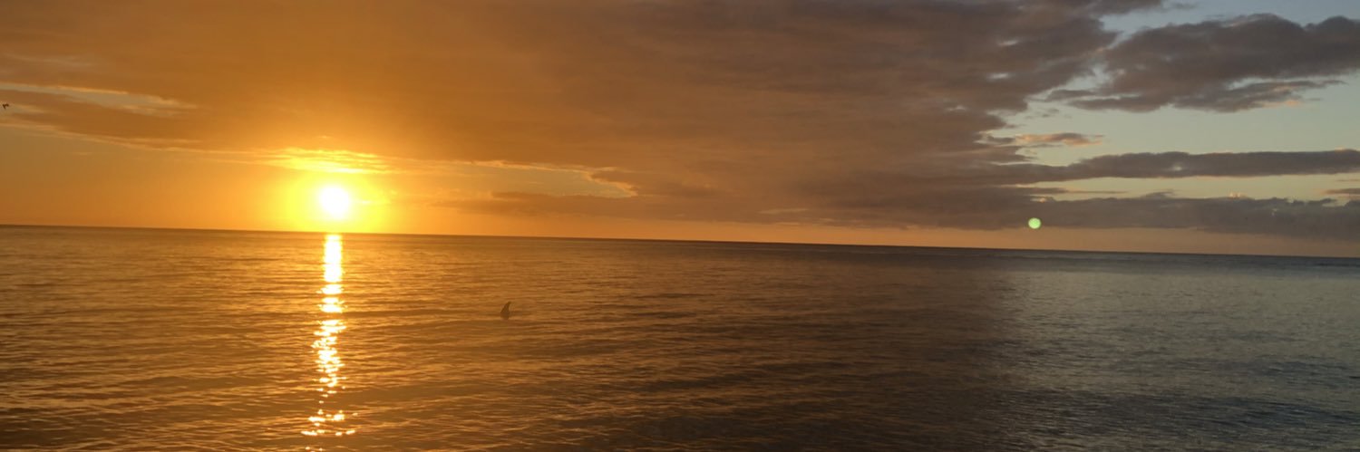 bhoekstr's profile banner image