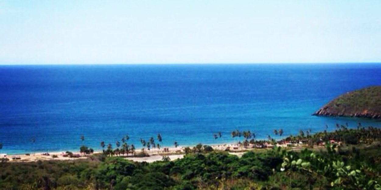 OriRobertis's profile banner image