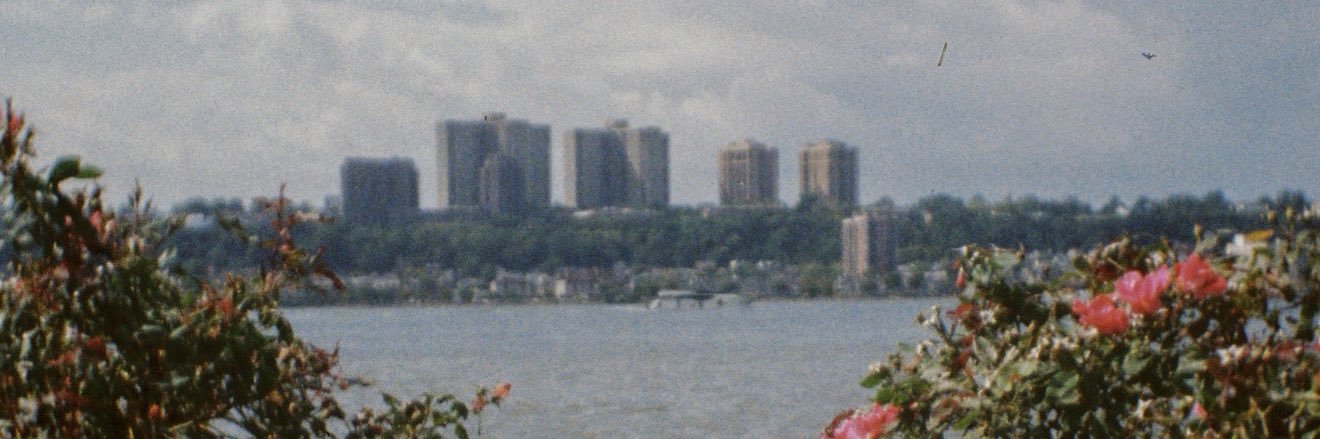 NotForrest_xD's profile banner image