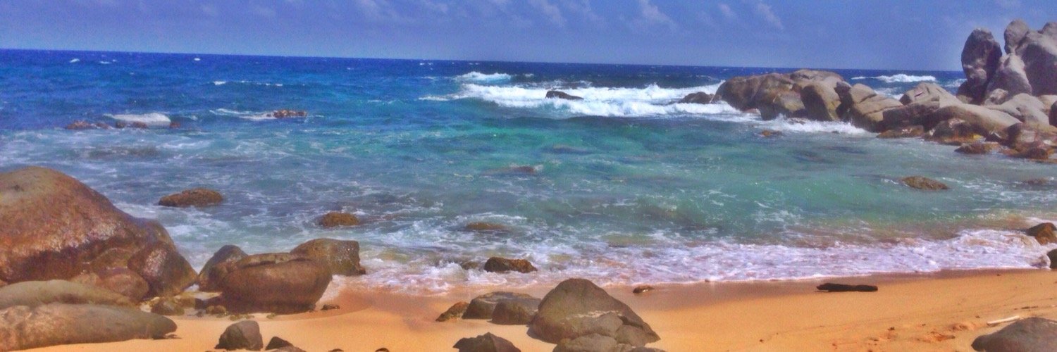 XelaMotta1's profile banner image