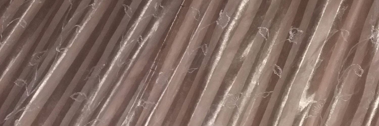 bechamambo's profile banner image