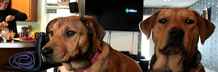 bnassal's profile banner image