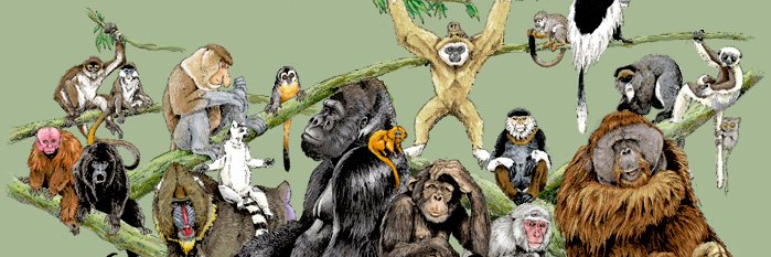 georgeconfused's profile banner image