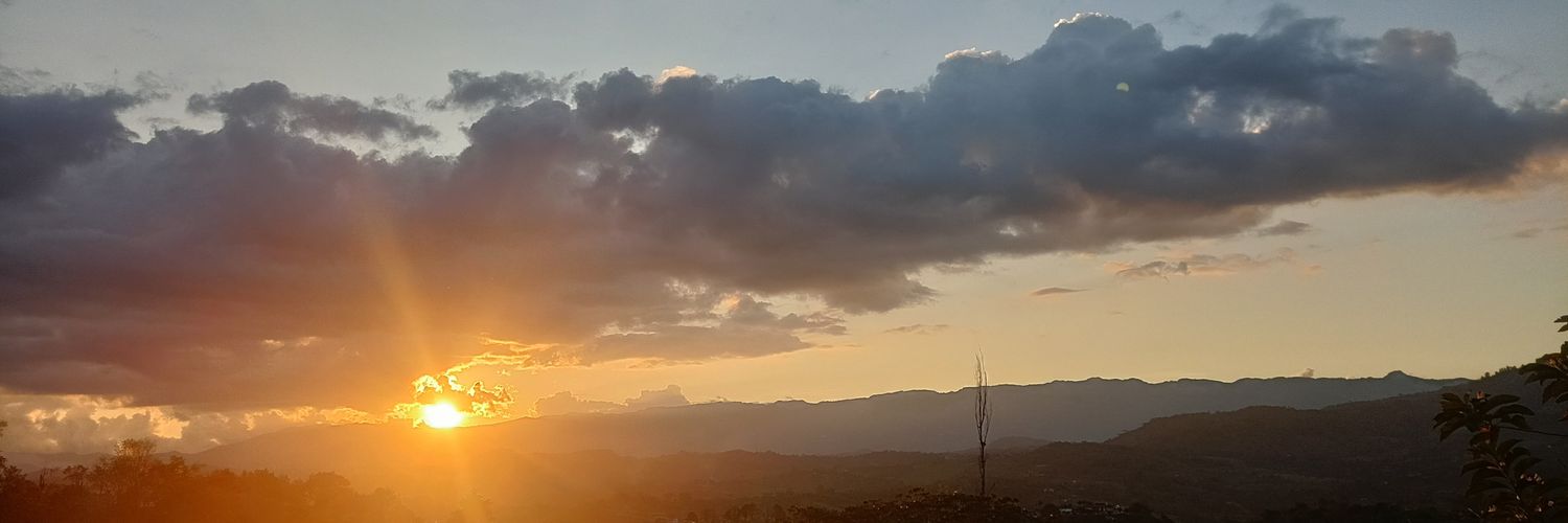 _Miyadi's profile banner image