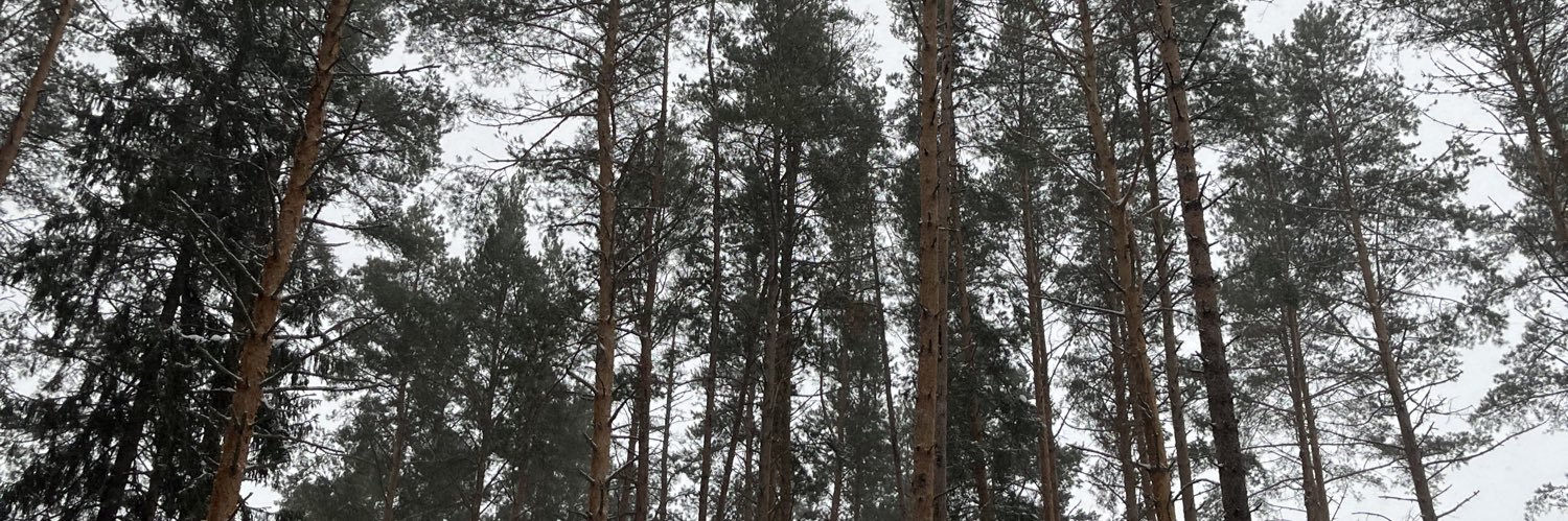 hockeybobby49's profile banner image