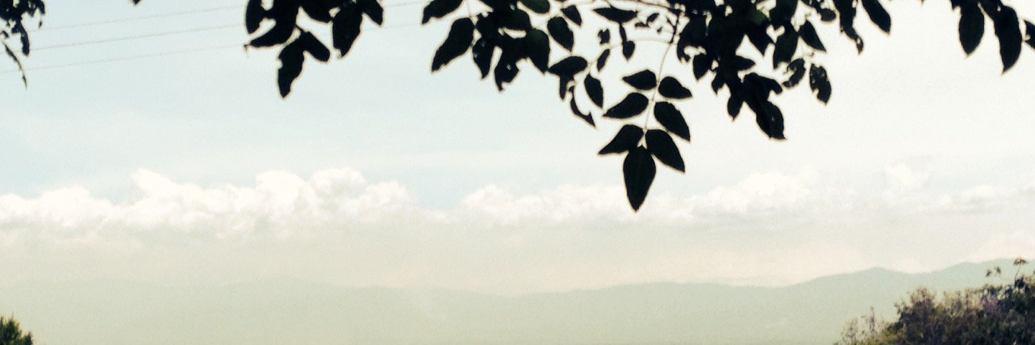 CrisSinAche's profile banner image