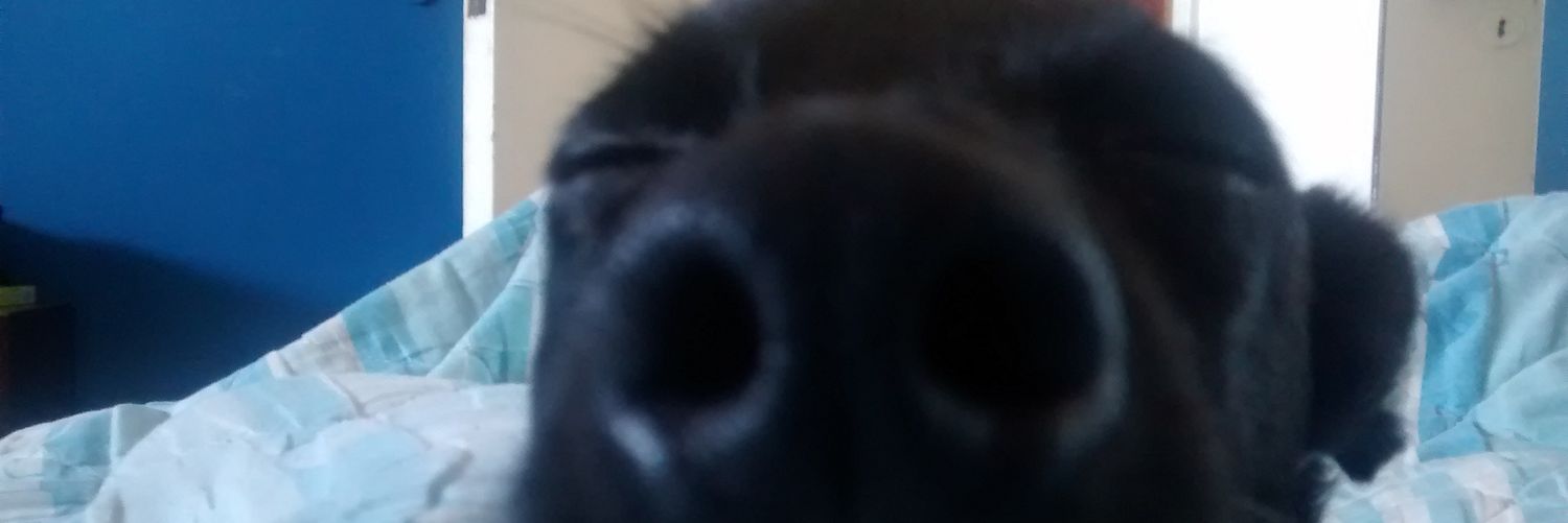 AgusContrerasok's profile banner image