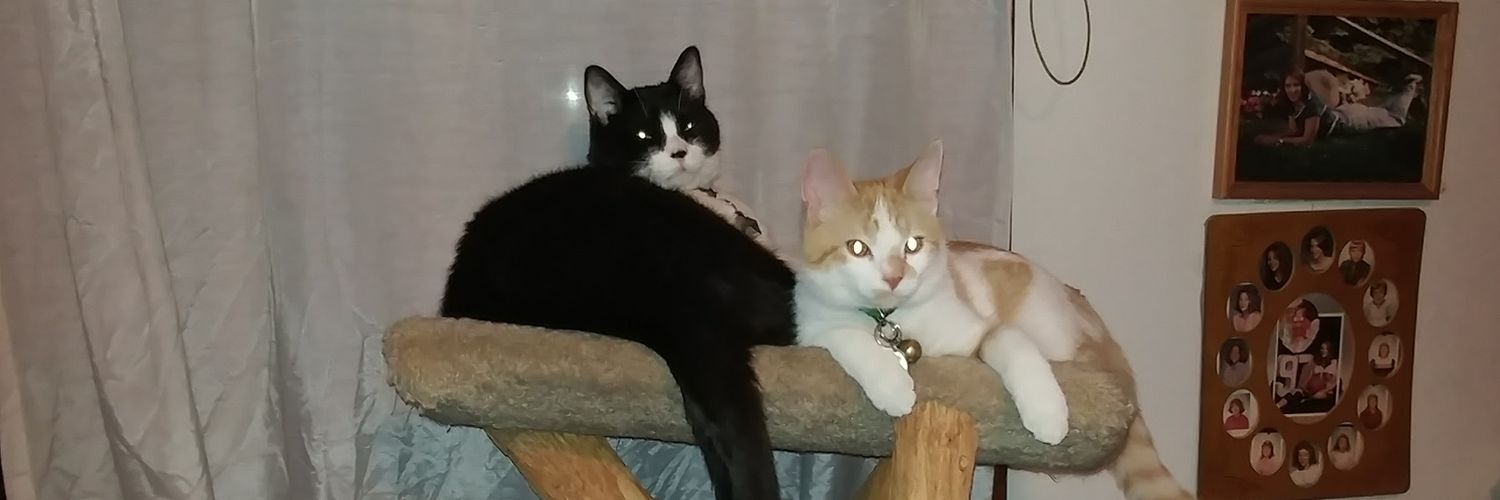 nancy_boop's profile banner image