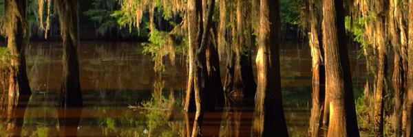 GeoffKresge Profile Banner