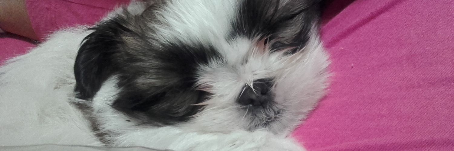 RocioGarcess's profile banner image