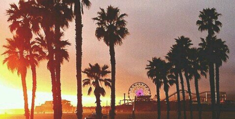 Carpee__Diemm's profile banner image