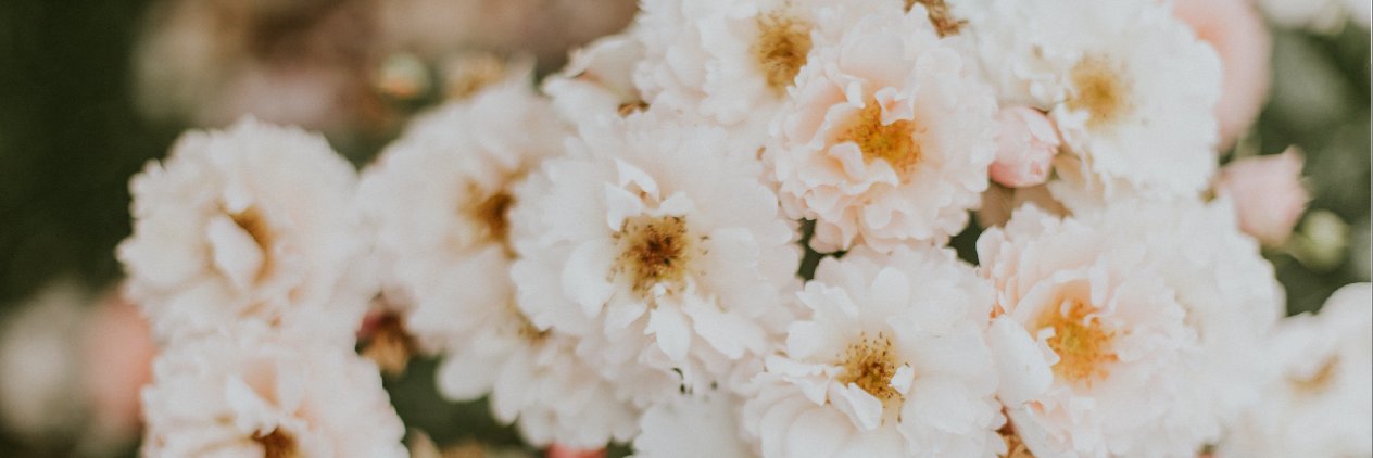 GentryYoung's profile banner image