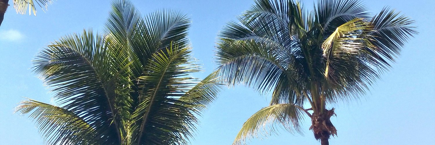 alinecaraujo's profile banner image